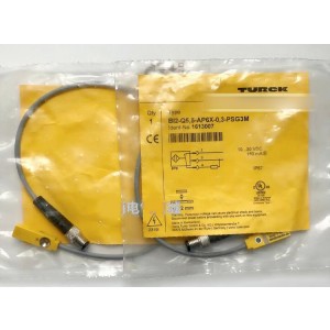 TURCK BI2-Q5.5-AP6X-0.3-PSG3M Inductive Proximity Switch - Original New