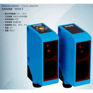 SICK WSE250-2P2431 Photoelectric Switch Sensor