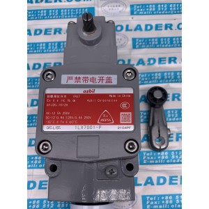 AZBIL 1LX7001-P Limit Switch